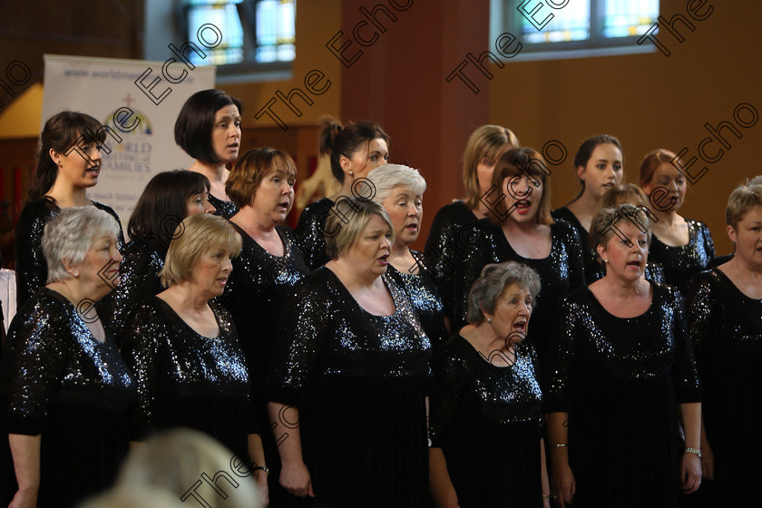 Feis04022018Sun76 
 71~76
The Voices conducted by Mary Pedder Daly 
 Holy Trinity Capuchin Church Adult Choirs Class: 78: The Lynch Memorial Perpetual Cup Adult Vocal Choirs Two Contrasting Songs Feis Maiti 92nd Festival held in Fr. Matthew Hall. EEjob 02/02/2018 Picture: Gerard Bonus.