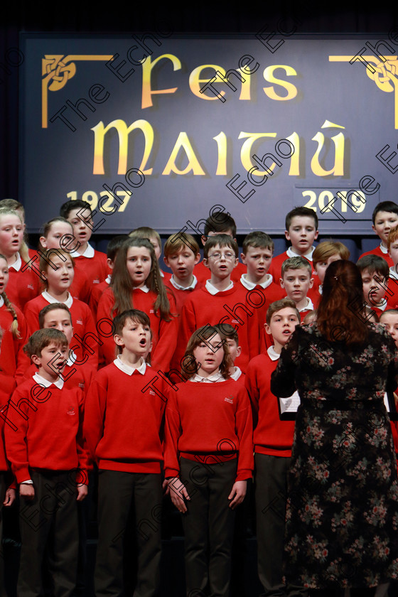 Feis28022019Thu48 
 45~48
Gaelscoil U Drisceoil Glanmire singing Ballue.

Class: 85: The Soroptimist International (Cork) Perpetual Trophy and Bursary
Bursary Value 130 Unison or Part Choirs 13 Years and Under Two contrasting folk songs.

Feis Maiti 93rd Festival held in Fr. Mathew Hall. EEjob 28/02/2019. Picture: Gerard Bonus