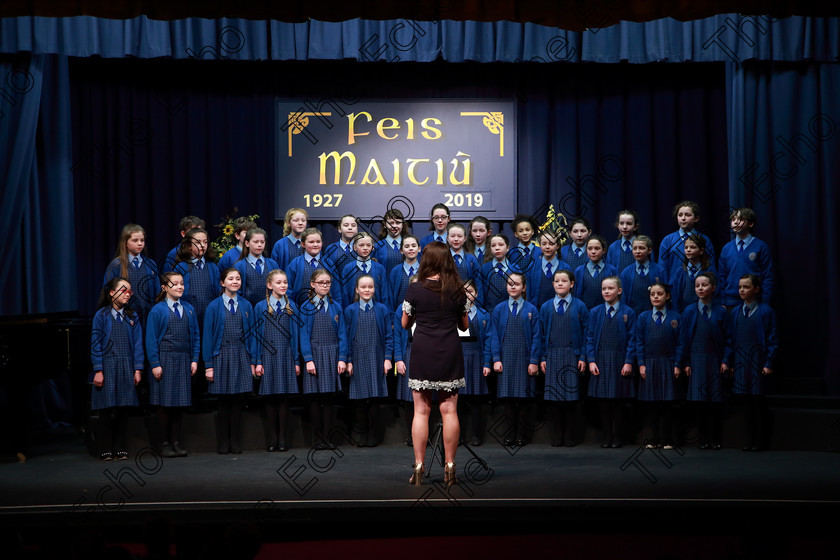 Feis28022019Thu10 
 10~13
Bunscoil Bhthar na Naomh Lismore singing The Birds Lament.

Class: 84: The Sr. M. Benedicta Memorial Perpetual Cup Primary School Unison ChoirsSection 1Two contrasting unison songs.

Feis Maiti 93rd Festival held in Fr. Mathew Hall. EEjob 28/02/2019. Picture: Gerard Bonus