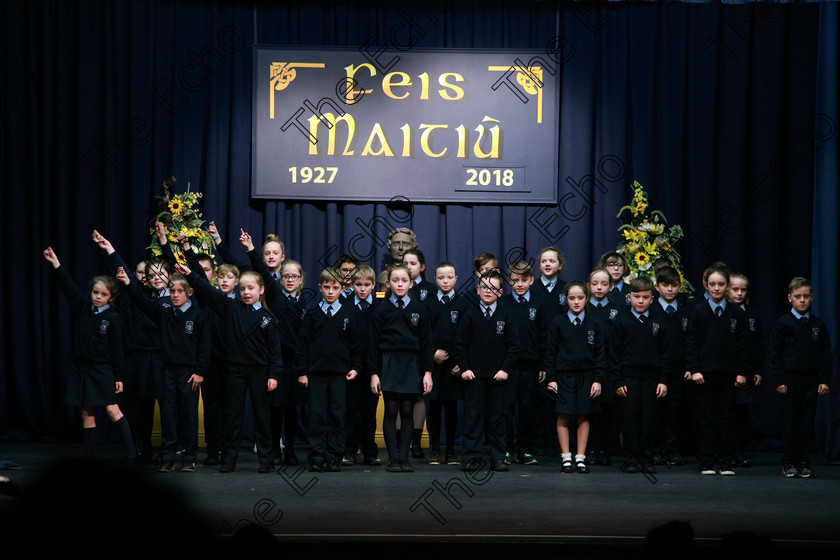 Feis13032018Tue13 
 11~13
Rathpeacon NS.4th Class performing The Day The Telly Broke Down as their own choice 
 Speech and Drama Class: 3rd & 4th Class Primary Schools, Action Verse Feis Maiti 92nd Festival held in Fr. Mathew Hall. EEjob 13/03/2018 Picture: Gerard Bonus.