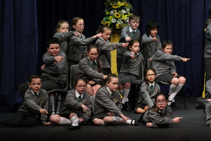 Feis23022018Fri14 
 6~14
An Teaghlaigh Ballyphehane performing.
 Speech and Drama Class: 476: The Peg OMahony Memorial Perpetual Cup Choral Speaking 4th Class Feis Maiti 92nd Festival held in Fr. Mathew Hall. EEjob 23/02/2018 Picture: Gerard Bonus.