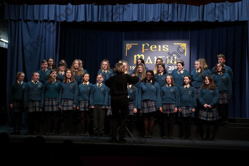 Feis12042018Thu52 
 52~55
Glanmire Community School Junior Choir singing Gentle Maid Conducted by Ann Mannix.

Singing Class: 83: Part Choirs The Echo Perpetual Shield 15 Years and Under Feis Maiti 92nd Festival held in Fr. Mathew Hall. EEjob 12/04/2018 Picture: Gerard Bonus