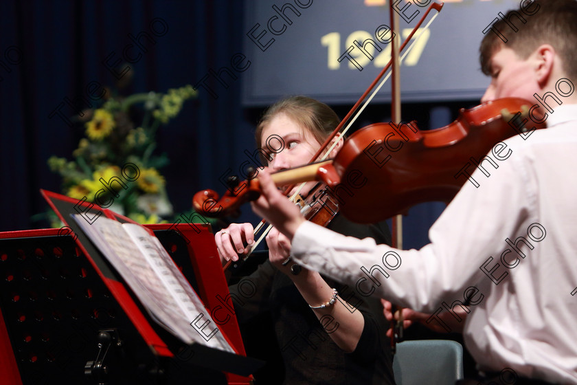 Feis10022019Sun40 
 40
The Crescendo Quartet; Kate Tompson, and James Dunne on violin.

Class: 269: The Lane Perpetual Cup Chamber Music 18 Years and Under
Two Contrasting Pieces, not to exceed 12 minutes

Feis Maiti 93rd Festival held in Fr. Matthew Hall. EEjob 10/02/2019. Picture: Gerard Bonus