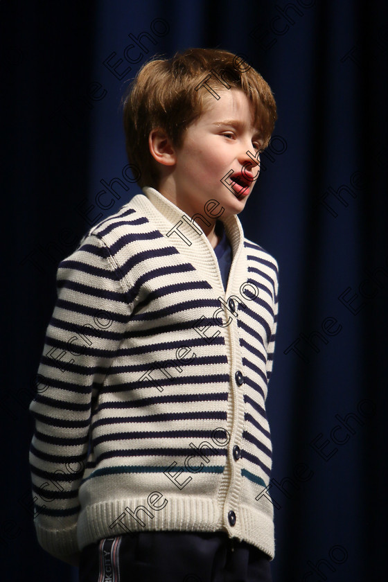 Feis11032018Sun24 
 24
Fionn Power from Ballyphane reciting his poem for a Bronze Medal