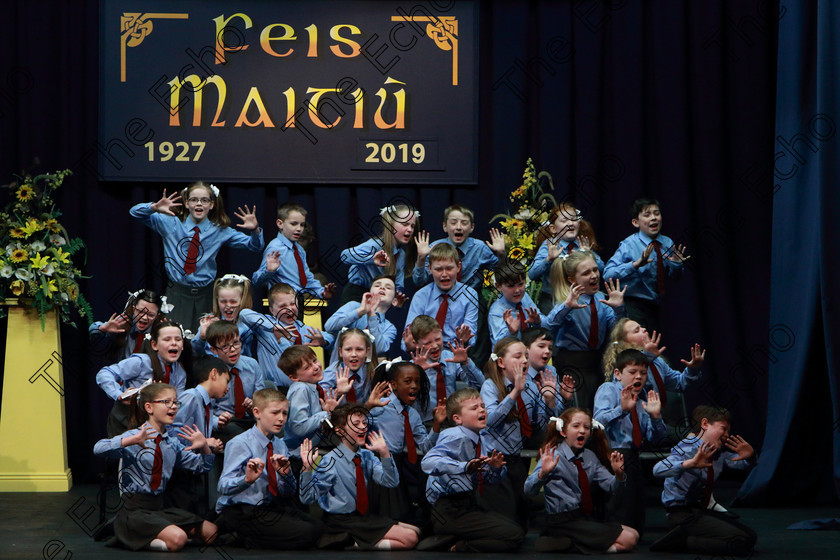 Feis13032019Wed06 
 6~10
Ovens 4th Class performing.

Feis Maiti 93rd Festival held in Fr. Mathew Hall. EEjob 13/03/2019. Picture: Gerard Bonus. 
Class: 486Action Verse The William OSullivan Memorial Perpetual Cup4thClass (a) Skeleton House Laurence Smith (b) Own Choice.1