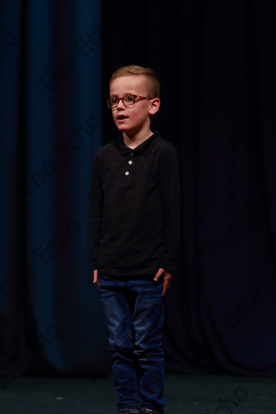 Feis30032019Sat65 
 65
Jack Barr performing.

Class: 383: Solo Verse Speaking Boys 6 Years and UnderSection 2 Either: Tarantula Clare Bevan or Bedtime Allan Ahlberg.

Feis Maiti 93rd Festival held in Fr. Mathew Hall. EEjob 30/03/2019. Picture: Gerard Bonus