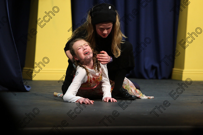 Feis22022018Thu60 
 58~60
Muirearn OConnell and Ellie McManus performing Roll of Thunder Hear my Cry.
 Speech and Drama Classes: 310: The Peg Hallahan Perpetual Trophy Dramatic Duo 14 Years and Under Feis Maiti 92nd Festival held in Fr. Mathew Hall. EEjob 22/02/2018 Picture: Gerard Bonus.