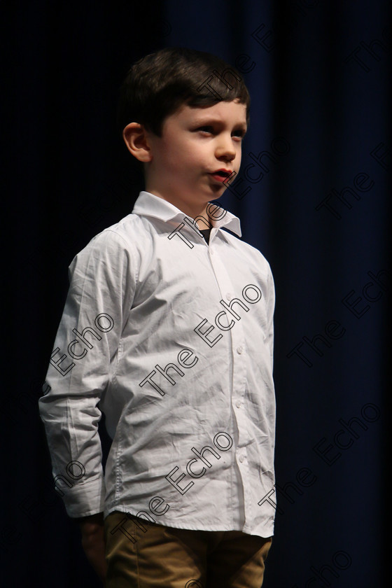 Feis11032018Sun21 
 21
Donogh Healy from Glanmire reciting his poem