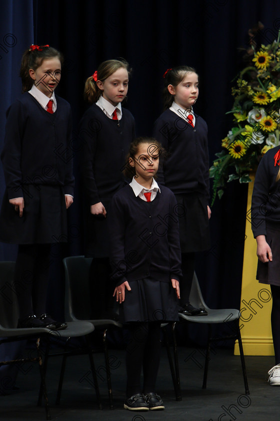 Feis23022018Fri28 
 15~31
St. Vincents 4th Class performing.
 Speech and Drama Class: 476: The Peg OMahony Memorial Perpetual Cup Choral Speaking 4th Class Feis Maiti 92nd Festival held in Fr. Mathew Hall. EEjob 23/02/2018 Picture: Gerard Bonus.