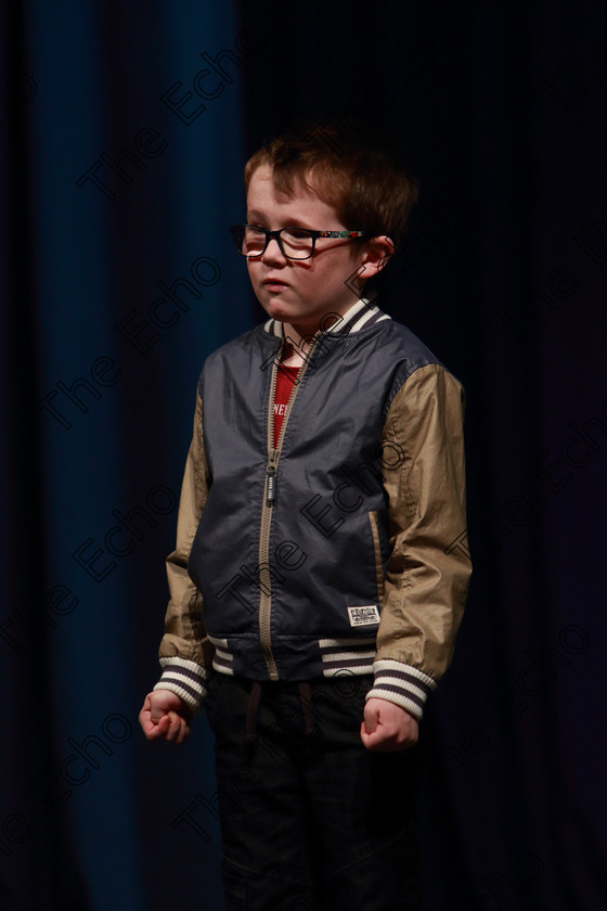 Feis30032019Sat60 
 60
James Coyne performing.

Class: 383: Solo Verse Speaking Boys 6 Years and UnderSection 2 Either: Tarantula Clare Bevan or Bedtime Allan Ahlberg.

Feis Maiti 93rd Festival held in Fr. Mathew Hall. EEjob 30/03/2019. Picture: Gerard Bonus