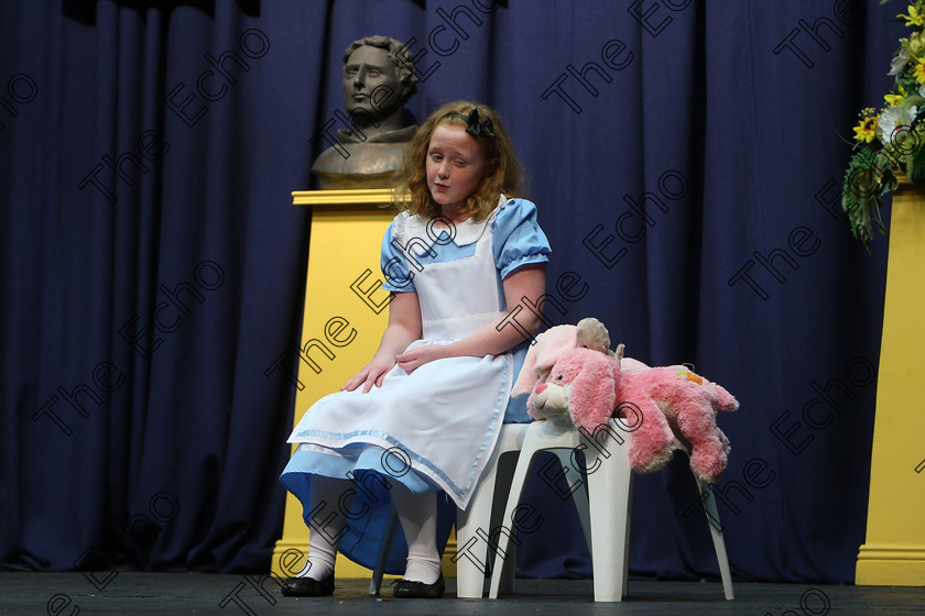 Feis16032018Fri04 
 3~4
Ali OConnell performing Alice In Wonderland.
 Speech and Drama Class: 328: The Fr. Nessan Shaw Memorial Perpetual Cup Dramatic Solo 10 Years and Under Section 3 Feis Maiti 92nd Festival held in Fr. Mathew Hall. EEjob 16/03/2018 Picture: Gerard Bonus.