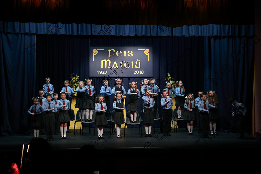 Feis13032018Tue27 
 27~30
Ovens NS 3rd Class performing Great Gran Is Manic on Her Motorbike as their own choice.
 Speech and Drama Class: 3rd & 4th Class Primary Schools, Action Verse Feis Maiti 92nd Festival held in Fr. Mathew Hall. EEjob 13/03/2018 Picture: Gerard Bonus.