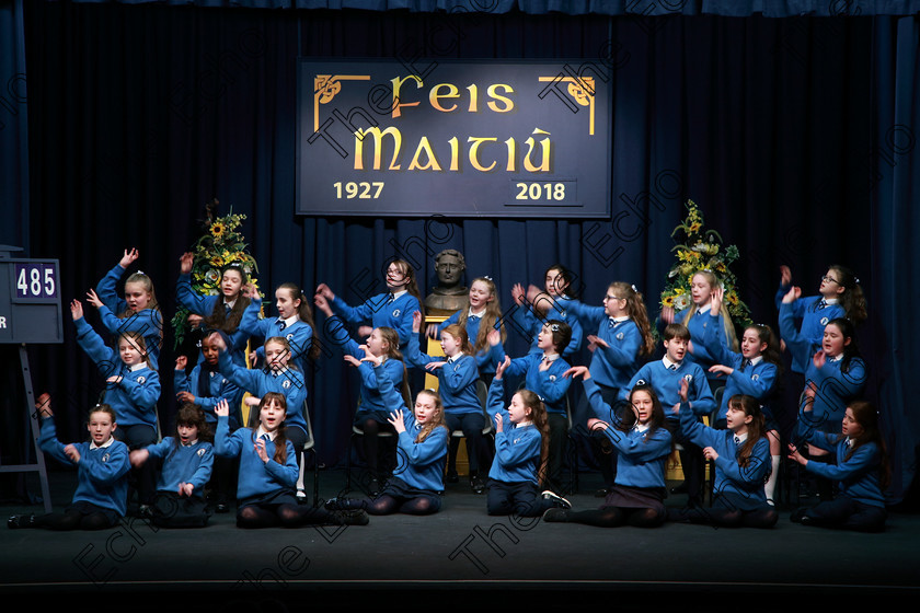 Feis21022018Wed18(1) 
 16~20
St. Marys Cobh 5th Class performing Trial of Derrick Drew as their own choice.
 Speech and Drama Classes: 485: Action Verse The OBrien Perpetual Cup5th Class and Class: 484: The Sri Lanka Festival Perpetual Trophy 6th Class, Feis Maiti 92nd Festival held in Fr. Mathew Hall. EEjob 21/02/2018 Picture: Gerard Bonus.