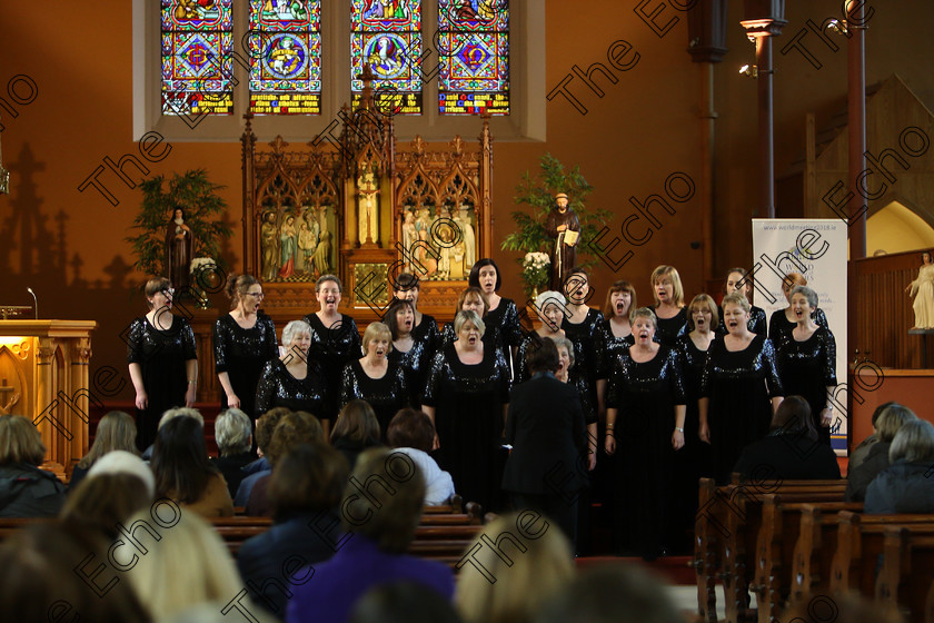 Feis04022018Sun74 
 71~76
The Voices conducted by Mary Pedder Daly 
 Holy Trinity Capuchin Church Adult Choirs Class: 78: The Lynch Memorial Perpetual Cup Adult Vocal Choirs Two Contrasting Songs Feis Maiti 92nd Festival held in Fr. Matthew Hall. EEjob 02/02/2018 Picture: Gerard Bonus.