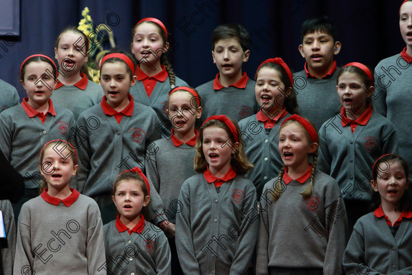 Feis28022019Thu16 
 14~16
St. Lukes Primary School Douglas singing Hi-diddle-dee-dee
an actor's life for me.

Class: 84: The Sr. M. Benedicta Memorial Perpetual Cup Primary School Unison ChoirsSection 1Two contrasting unison songs.

Feis Maiti 93rd Festival held in Fr. Mathew Hall. EEjob 28/02/2019. Picture: Gerard Bonus