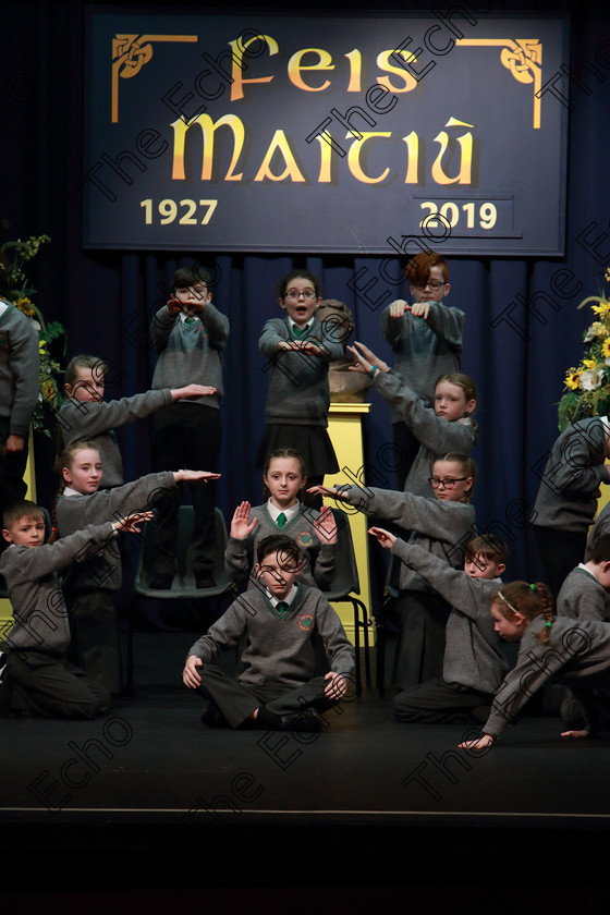 Feis20032019Wed17 
 16~18
Gaelscoil and Teaghaigh Naoife performing.

Class: 476: The Peg OMahony Memorial Perpetual Cup Choral Speaking 4th Class (a) The Three Little Pigs Marian Swinger (b) Own Choice.

Feis Maiti 93rd Festival held in Fr. Mathew Hall. EEjob 20/03/2019. Picture: Gerard Bonus.