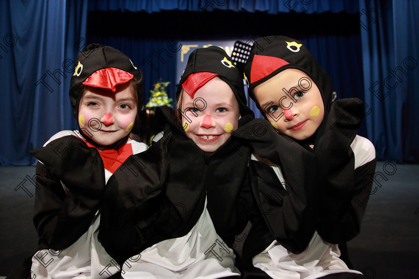 Feis28022019Thu69 
 69
Ellen Cusack, Niamh Collins and Beth Ann Hegarty from Brightlights Studios.

Class: 103: The Rebecca Allman Perpetual Trophy Group Action Songs 10 Years and Under Programme not to exceed 10minutes.

Feis Maiti 93rd Festival held in Fr. Mathew Hall. EEjob 28/02/2019. Picture: Gerard Bonus