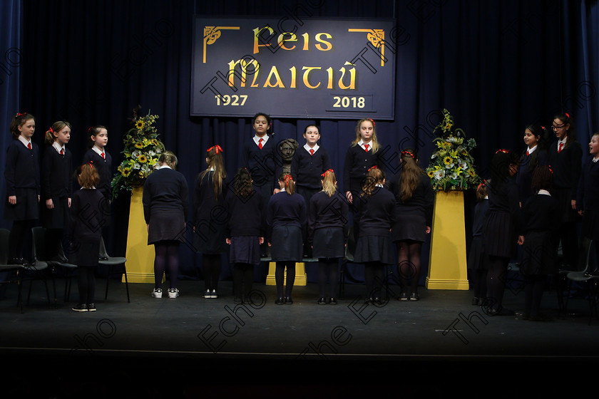 Feis23022018Fri25 
 15~31
St. Vincents 4th Class performing.
 Speech and Drama Class: 476: The Peg OMahony Memorial Perpetual Cup Choral Speaking 4th Class Feis Maiti 92nd Festival held in Fr. Mathew Hall. EEjob 23/02/2018 Picture: Gerard Bonus.