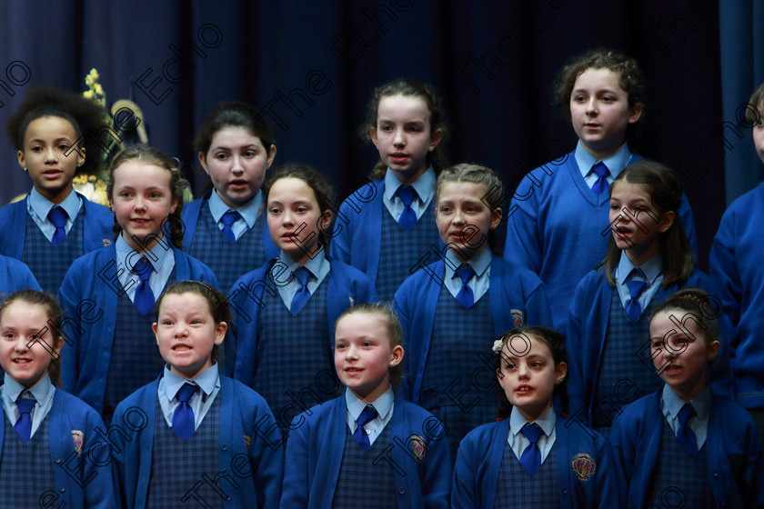 Feis28022019Thu13 
 10~13
Bunscoil Bhthar na Naomh Lismore singing The Birds Lament.

Class: 84: The Sr. M. Benedicta Memorial Perpetual Cup Primary School Unison ChoirsSection 1Two contrasting unison songs.

Feis Maiti 93rd Festival held in Fr. Mathew Hall. EEjob 28/02/2019. Picture: Gerard Bonus