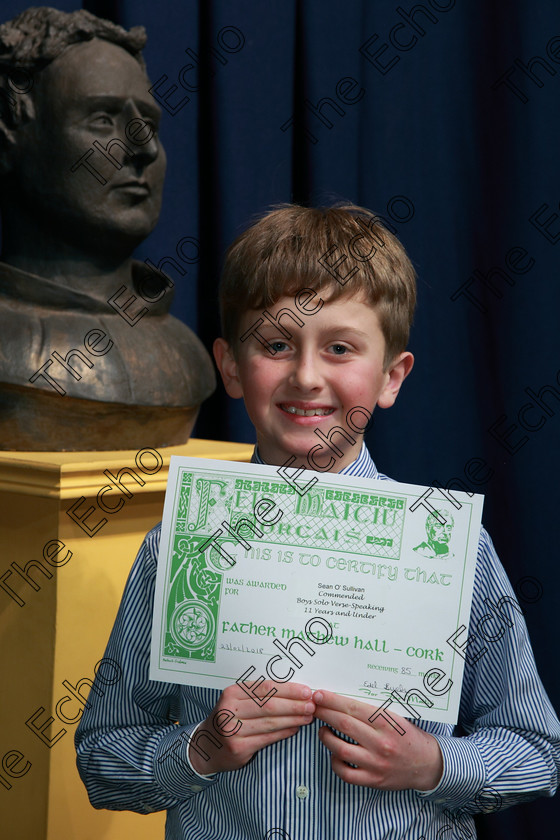 Feis23022018Fri73 
 73
Commended Sean OSullivan from Blackrock.
 Speech and Drama Class: 378: Solo Verse Speaking Boys 11 Years and UnderSection 1 Feis Maiti 92nd Festival held in Fr. Mathew Hall. EEjob 23/02/2018 Picture: Gerard Bonus.