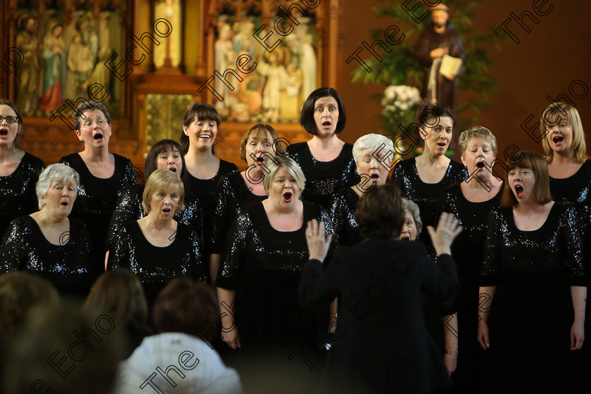 Feis04022018Sun80 
 71~76
The Voices conducted by Mary Pedder Daly 
 Holy Trinity Capuchin Church Adult Choirs Class: 78: The Lynch Memorial Perpetual Cup Adult Vocal Choirs Two Contrasting Songs Feis Maiti 92nd Festival held in Fr. Matthew Hall. EEjob 02/02/2018 Picture: Gerard Bonus.