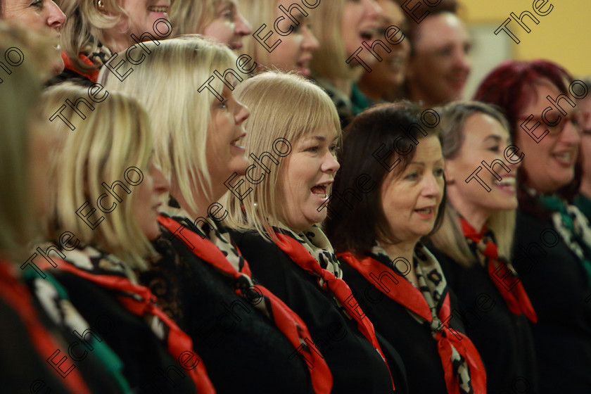 Feis0302109Sun78 
 78~83
The Sonatinas singing Eternity.

Class: 78: The Lynch Memorial Perpetual Cup Adult Vocal Choirs Two Contrasting Songs.

Feis Maiti 93rd Festival held in Fr. Matthew Hall. EEjob 03/02/2019. Picture: Gerard Bonus.