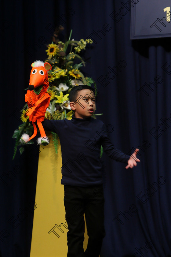 Feis20032018Tue17 
 16~17
Shayne Limansag giving a Commended performance of Boy from The Witches.
 Speech and Drama Class: 329: Dramatic Solo 8 Years and Under Feis Maiti 92nd Festival held in Fr. Mathew Hall. EEjob 20/03/2018 Picture: Gerard Bonus