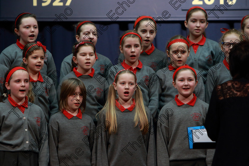 Feis28022019Thu15 
 14~16
St. Lukes Primary School Douglas singing Hi-diddle-dee-dee
an actor's life for me.

Class: 84: The Sr. M. Benedicta Memorial Perpetual Cup Primary School Unison ChoirsSection 1Two contrasting unison songs.

Feis Maiti 93rd Festival held in Fr. Mathew Hall. EEjob 28/02/2019. Picture: Gerard Bonus