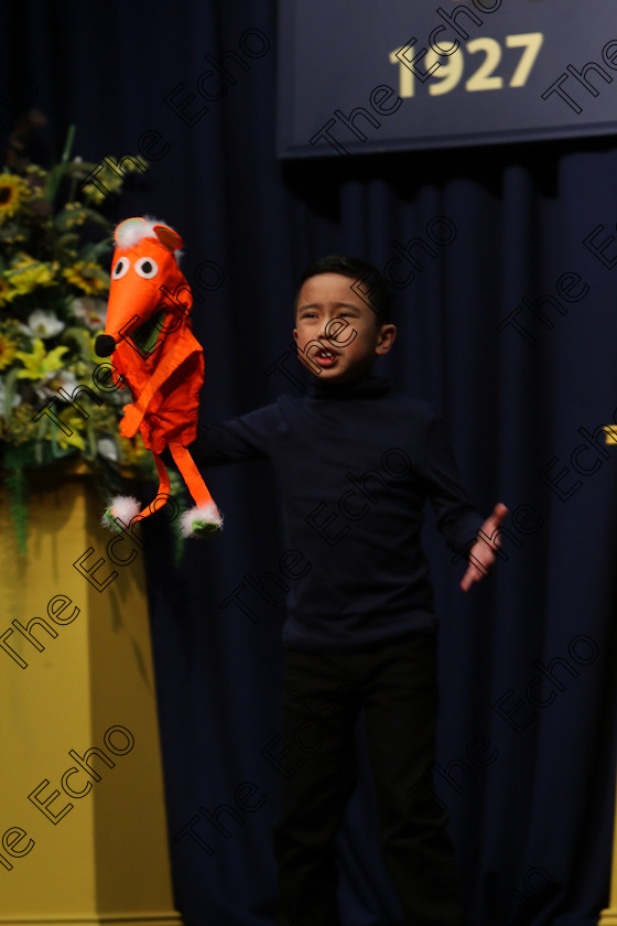 Feis20032018Tue18 
 16~18
Shayne Limansag giving a Commended performance of Boy from The Witches.
 Speech and Drama Class: 329: Dramatic Solo 8 Years and Under Feis Maiti 92nd Festival held in Fr. Mathew Hall. EEjob 20/03/2018 Picture: Gerard Bonus