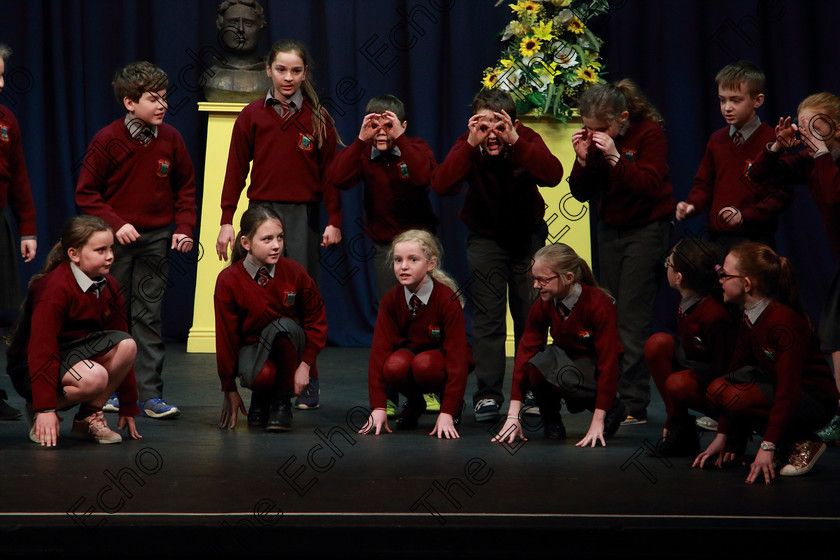 Feis13032019Wed16 
 15~19
Timoleague National School performing.

Feis Maiti 93rd Festival held in Fr. Mathew Hall. EEjob 13/03/2019. Picture: Gerard Bonus. 
Class: 486Action Verse The William OSullivan Memorial Perpetual Cup4thClass (a) Skeleton House Laurence Smith (b) Own Choice.1