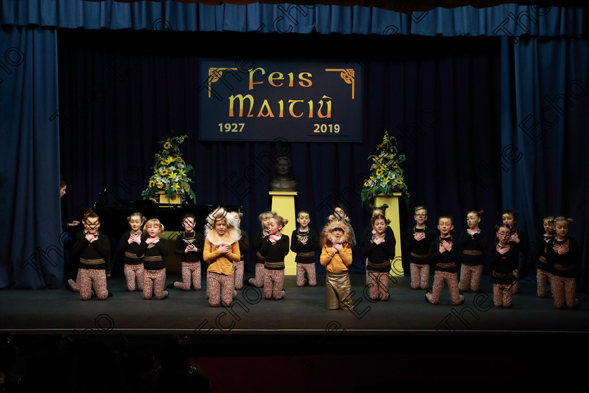 Feis12022019Tue18 
 17~24
Timoleague NS performing extracts from The Lion King.

Class: 104: The Pam Golden Perpetual Cup Group Action Songs -Primary Schools Programme not to exceed 8 minutes.

Feis Maiti 93rd Festival held in Fr. Mathew Hall. EEjob 12/02/2019. Picture: Gerard Bonus