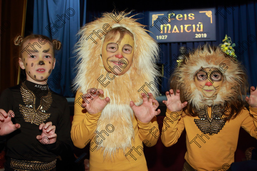 Feis12022019Tue03 
 3
Emma Jackson Hegarty, Mike Joe and Ellen Foley from Timoleague NS.

Class: 104: The Pam Golden Perpetual Cup Group Action Songs -Primary Schools Programme not to exceed 8 minutes.

Feis Maiti 93rd Festival held in Fr. Mathew Hall. EEjob 12/02/2019. Picture: Gerard Bonus