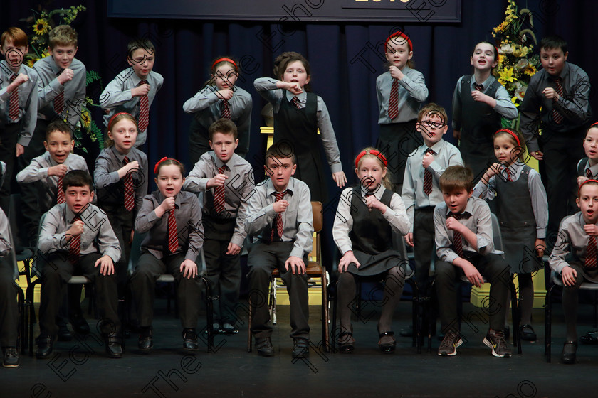 Feis03042019Wed20 
 16~22
Gaelscoil U Riordn Ballincollig performing.

Rinn: 533: Corn U Bhuachalla Cr-Reacaireacht 9 Bliana DAois N Faoina An Clog Padraig MacConcoille. (b) A Rogha Fin.

Feis Maiti 93rd Festival held in Fr. Mathew Hall. EEjob 03/04/2019. Picture: Gerard Bonus