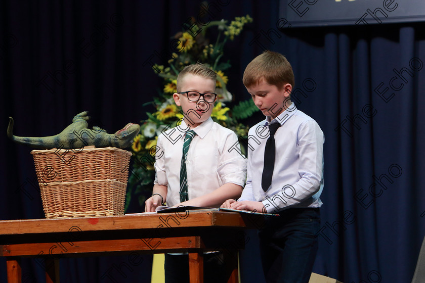 Feis26032019Tue25 
 24~25
Euan OGrady and Ethan Lees from Rathcormac giving a Commended performance of Extinct

Class: 312: Dramatic Duo 10 Years and Under Section 1, A Duo Scene not exceeding 5minutes.

Feis Maiti 93rd Festival held in Fr. Mathew Hall. EEjob 26/03/2019. Picture: Gerard Bonus