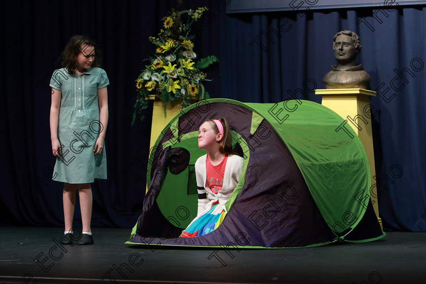 Feis21032019Thu11 
 10~12
Sarah Terry and Ciara OConnor from Whitechurch and Old Whitechurch Road giving a Bronze Medal performance of Horrid Henry Secret Password.

Class: 311: Dramatic Duo 12 Years and Under Section 1 A Dramatic Scene not exceeding 8minutes.

Feis Maiti 93rd Festival held in Fr. Mathew Hall. EEjob 21/03/2019. Picture: Gerard Bonus.