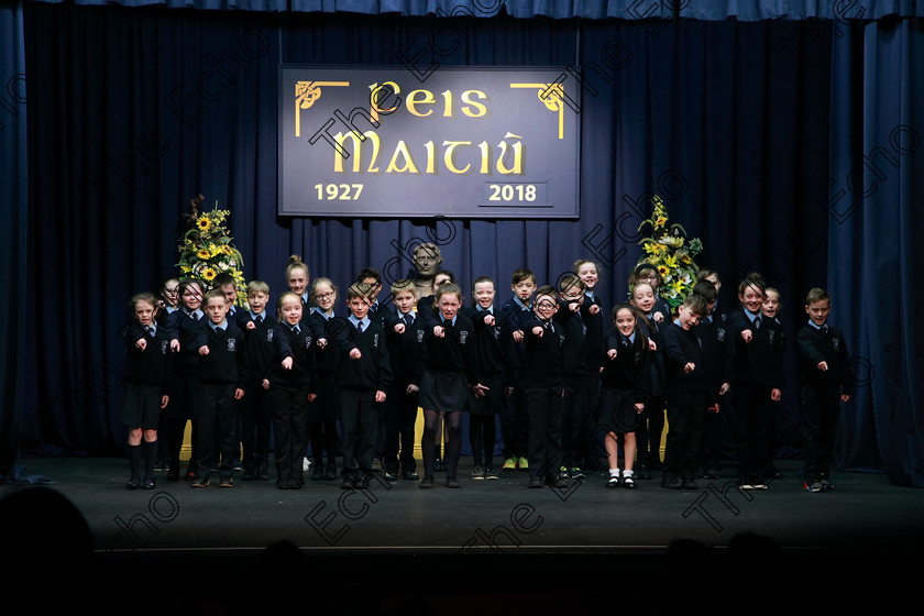 Feis13032018Tue11 
 11~13
Rathpeacon NS.4th Class performing The Day The Telly Broke Down as their own choice 
 Speech and Drama Class: 3rd & 4th Class Primary Schools, Action Verse Feis Maiti 92nd Festival held in Fr. Mathew Hall. EEjob 13/03/2018 Picture: Gerard Bonus.