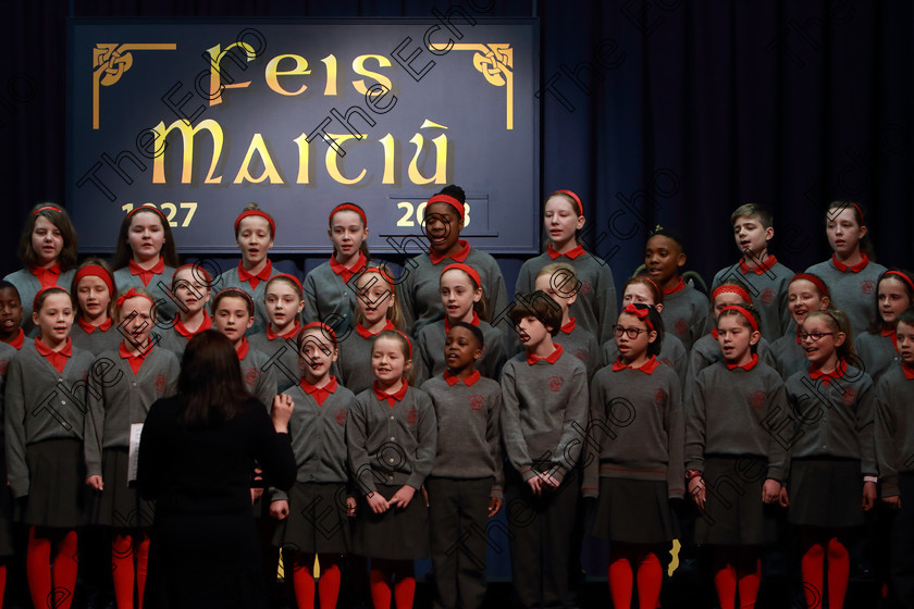 Feis12042018Thu15 
 12~16
St. Lukes Primary School singing Someday and Railway Carriage.
 Singing Class: 84: The Sr. M. Benedicta Memorial Perpetual Cup Primary School Unison Choirs Section 1 Feis Maiti 92nd Festival held in Fr. Mathew Hall. EEjob 28/03/2018 Picture: Gerard Bonus