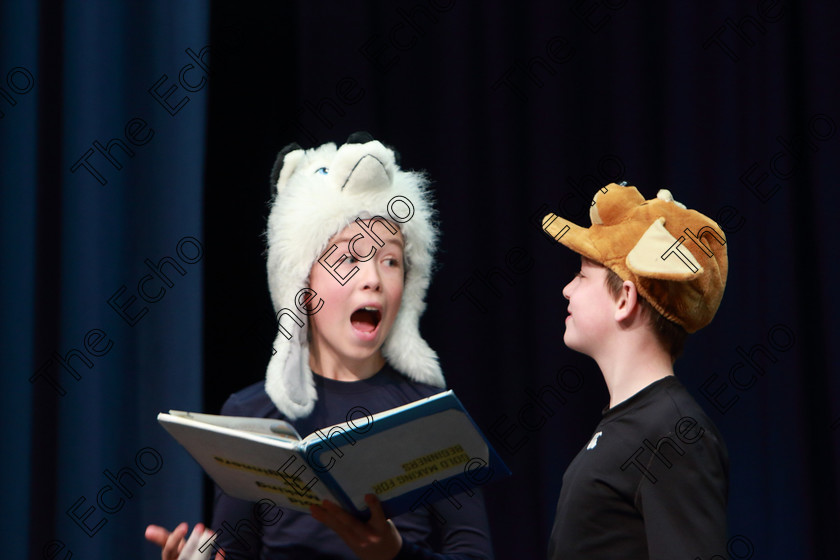 Feis22032019Fri39 
 38~40
Roran McGonagle and Joseph Healy from Togher and Model Farm Road performing Mother Goose.

Class: 311: Dramatic Duo12 Years and Under Section 2 A Dramatic Scene not exceeding 8minutes.

Feis Maiti 93rd Festival held in Fr. Mathew Hall. EEjob 22/03/2019. Picture: Gerard Bonus.