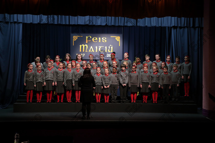 Feis12042018Thu12 
 12~16
St. Lukes Primary School singing Someday and Railway Carriage.
 Singing Class: 84: The Sr. M. Benedicta Memorial Perpetual Cup Primary School Unison Choirs Section 1 Feis Maiti 92nd Festival held in Fr. Mathew Hall. EEjob 28/03/2018 Picture: Gerard Bonus