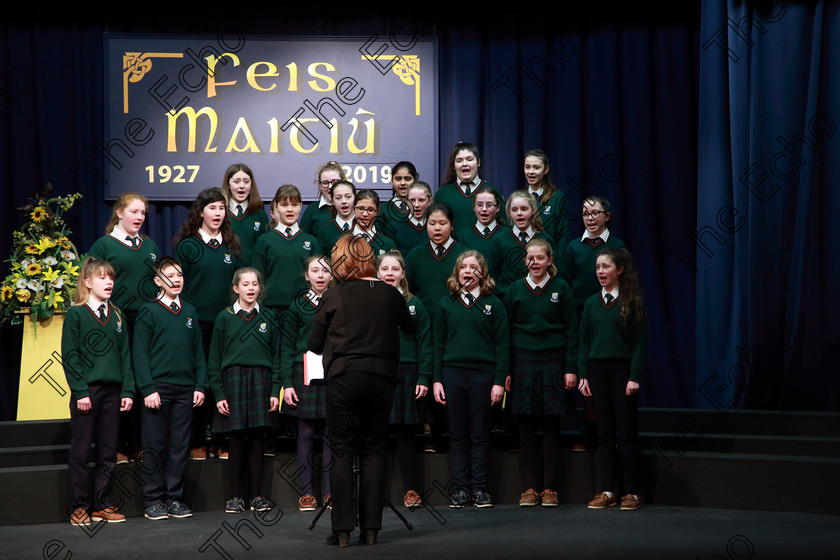 Feis27022019Wed37 
 37~38
Cashel Community School singing Crocodile by Peter Jenkins conducted by Helen Colbert.

Class: 83: The Loreto Perpetual Cup Secondary School Unison Choirs

Feis Maiti 93rd Festival held in Fr. Mathew Hall. EEjob 27/02/2019. Picture: Gerard Bonus