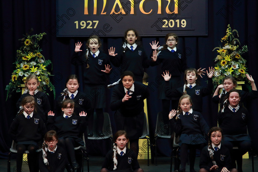 Feis13032019Wed14 
 7~14
Maria Assumpta Ballyphehane performing.

Feis Maiti 93rd Festival held in Fr. Mathew Hall. EEjob 13/03/2019. Picture: Gerard Bonus. 
Class: 486Action Verse The William OSullivan Memorial Perpetual Cup4thClass (a) Skeleton House Laurence Smith (b) Own Choice.1