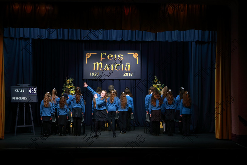 Feis21022018Wed16(1) 
 16~20
St. Marys Cobh 5th Class performing Trial of Derrick Drew as their own choice.
 Speech and Drama Classes: 485: Action Verse The OBrien Perpetual Cup5th Class and Class: 484: The Sri Lanka Festival Perpetual Trophy 6th Class, Feis Maiti 92nd Festival held in Fr. Mathew Hall. EEjob 21/02/2018 Picture: Gerard Bonus.