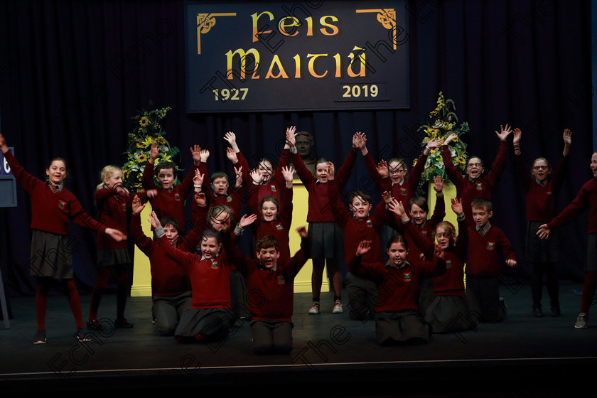 Feis13032019Wed19 
 15~19
Timoleague National School performing.

Feis Maiti 93rd Festival held in Fr. Mathew Hall. EEjob 13/03/2019. Picture: Gerard Bonus. 
Class: 486Action Verse The William OSullivan Memorial Perpetual Cup4thClass (a) Skeleton House Laurence Smith (b) Own Choice.1