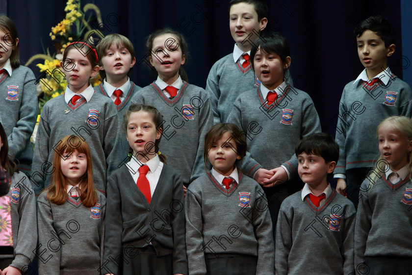 Feis01032019Fri10 
 8~10
Rockboro Singers singing Ill Be There.

Class: 84: The Sr. M. Benedicta Memorial Perpetual Cup Primary School Unison ChoirsSection 2 Two contrasting unison songs.

Feis Maiti 93rd Festival held in Fr. Mathew Hall. EEjob 01/03/2019. Picture: Gerard Bonus