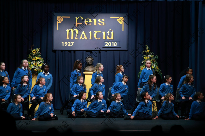 Feis13032018Tue16 
 14~17
St Marys NS Cobh 4th Class performing My Pony by Anonymous as their own choice.
 Speech and Drama Class: 3rd & 4th Class Primary Schools, Action Verse Feis Maiti 92nd Festival held in Fr. Mathew Hall. EEjob 13/03/2018 Picture: Gerard Bonus.