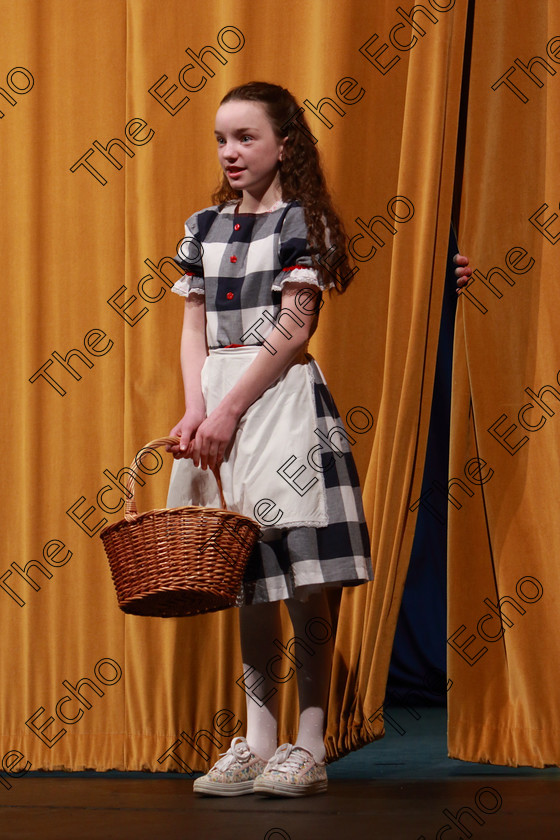 Feis13032019Wed43 
 43~44
Brid OBrien performing The Woodcutters Daughter.

Class: 327: The Hartland Memorial Perpetual Trophy Dramatic Solo 12 Years and Under Section 3 A Solo Dramatic Scene not to exceed 5 minutes.

Feis Maiti 93rd Festival held in Fr. Mathew Hall. EEjob 13/03/2019. Picture: Gerard Bonus.