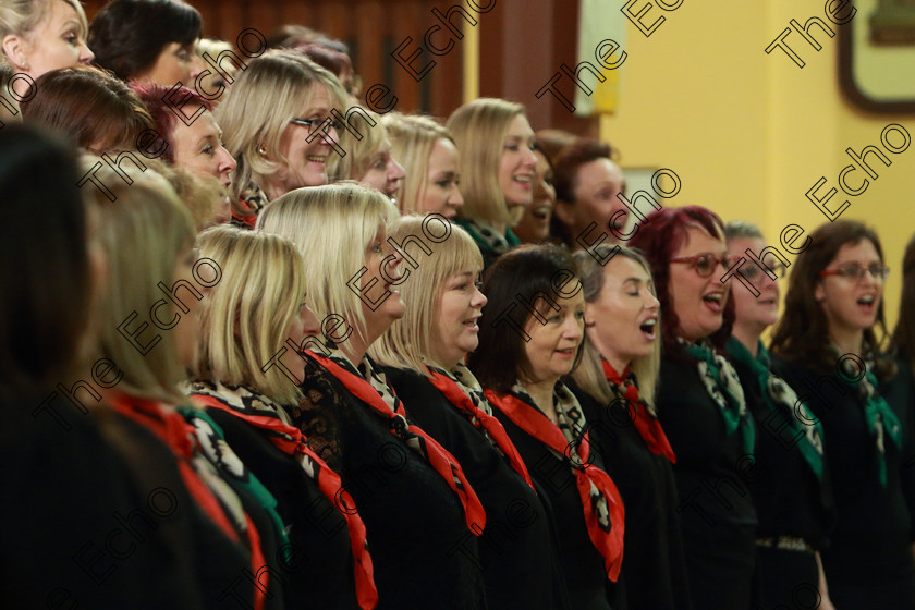 Feis0302109Sun79 
 78~83
The Sonatinas singing Eternity.

Class: 78: The Lynch Memorial Perpetual Cup Adult Vocal Choirs Two Contrasting Songs.

Feis Maiti 93rd Festival held in Fr. Matthew Hall. EEjob 03/02/2019. Picture: Gerard Bonus.