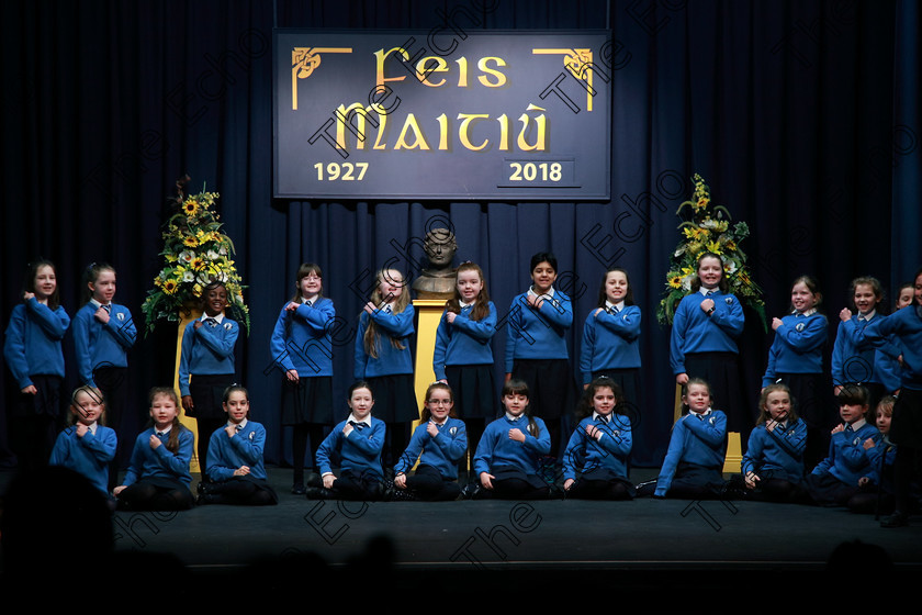 Feis13032018Tue23 
 21~24
St Marys NS Cobh 3rd Class performing Clowns as their own choice.
 Speech and Drama Class: 3rd & 4th Class Primary Schools, Action Verse Feis Maiti 92nd Festival held in Fr. Mathew Hall. EEjob 13/03/2018 Picture: Gerard Bonus.