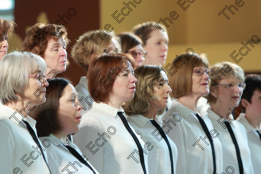 Feis0302109Sun34 
 34~38
Douglas Harmonia singing Song Bird and The Blessing Conducted by Lorna Moore.

Class: 79: The Holy Trinity Perpetual Cup Chamber Choirs Two Contrasting Songs.

Feis Maiti 93rd Festival held in Fr. Matthew Hall. EEjob 03/02/2019. Picture: Gerard Bonus.