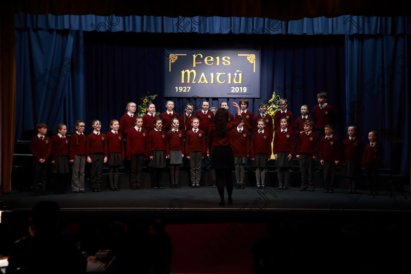 Feis28022019Thu42 
 42~44
Gaelscoil U Eigeartaigh Cobh singing Noreen Bn.

Class: 85: The Soroptimist International (Cork) Perpetual Trophy and Bursary
Bursary Value 130 Unison or Part Choirs 13 Years and Under Two contrasting folk songs.

Feis Maiti 93rd Festival held in Fr. Mathew Hall. EEjob 28/02/2019. Picture: Gerard Bonus